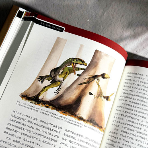 翼龙 自然史 演化 解剖学 史前生命丛书 科普读物 200幅精美插图 商品图10