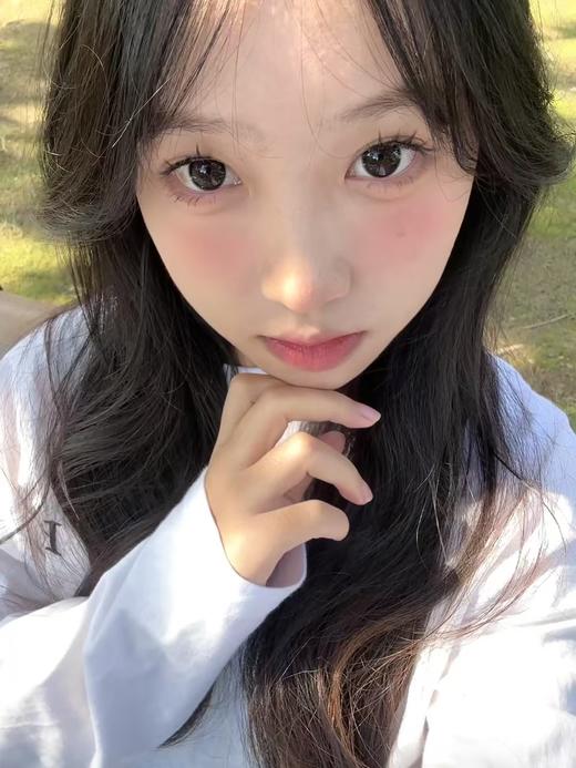 【大直径】Laseecon-黑猪猪二代-14.5mm【年抛 0-800度 无525/575 】 商品图4