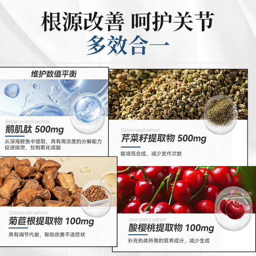 GRISSO鹅肌肽芹菜籽片红关肿节尿代酸谢关节轻松 商品图1