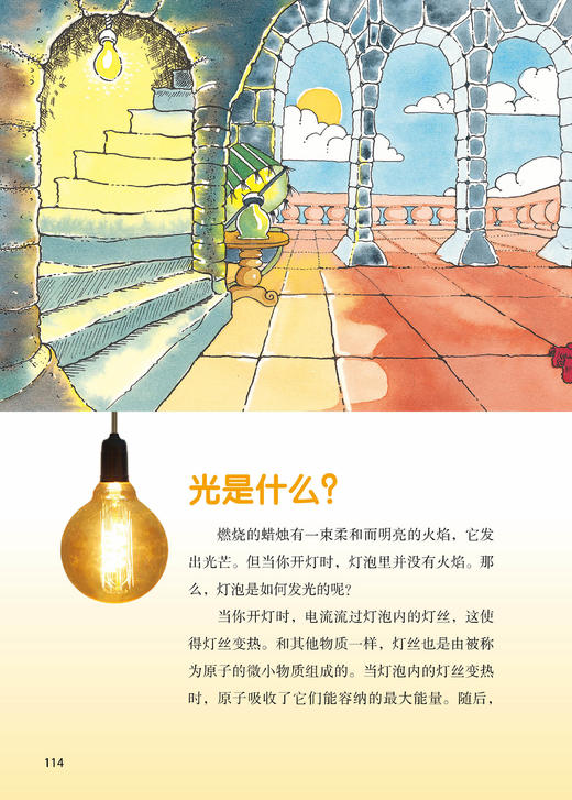 《HOW&WHY美国经典少儿百科知识全书》（全10册） 商品图12