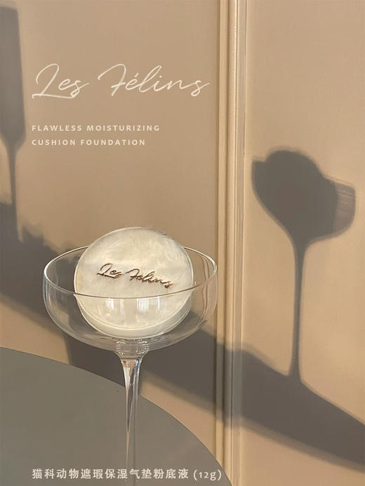 猫科动物遮瑕保湿气垫粉底液CF02 太妃熔岩色12g 商品图1