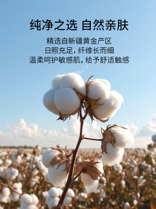 佳丽斯四件套全棉纯棉床单被套床笠款宿舍三件套床上用品2024新款 商品图3