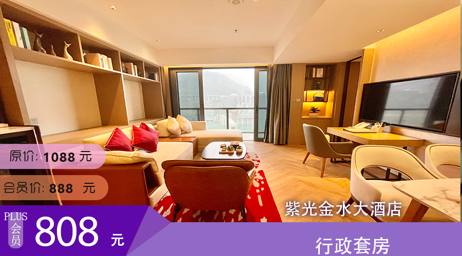 行政套房 紫光金水大酒店