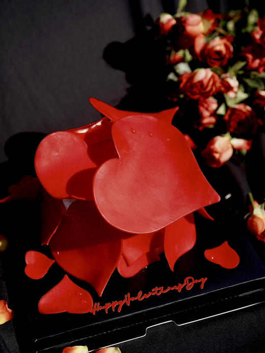 【爱的N语言】爱有N种形态，要看我们如何去表达 商品图4