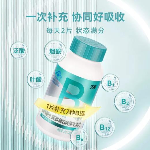 多种B族维生素片 商品图1