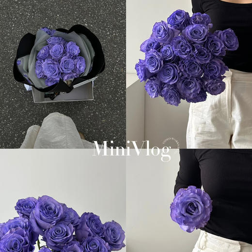 厄瓜多尔进口玫瑰系列花束 商品图0