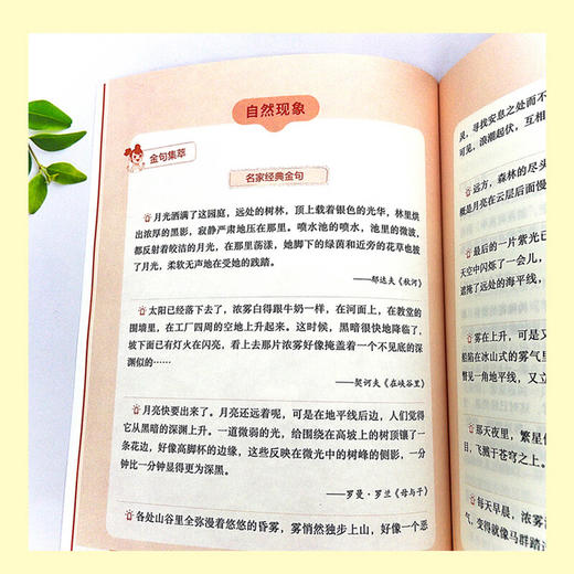 学霸都在用的作文分类金句（全5册） 商品图3