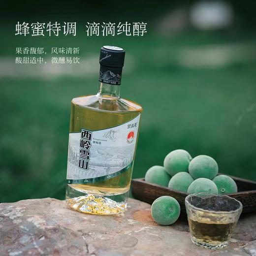 大邑特产望青来西岭雪山青梅酒【青山】375ml*2瓶 10度 商品图2