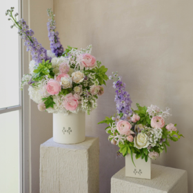 缱绻流光 Felicity