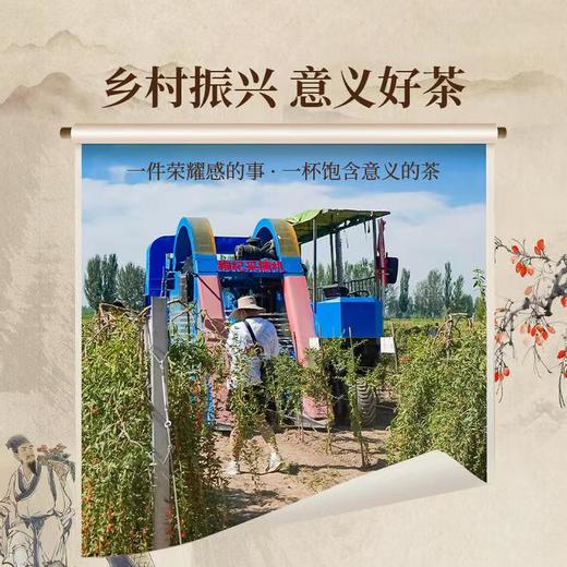 正山堂 | 枸杞红茶·馥·宁夏枸杞叶养生茶 高香茶叶 50g 商品图7