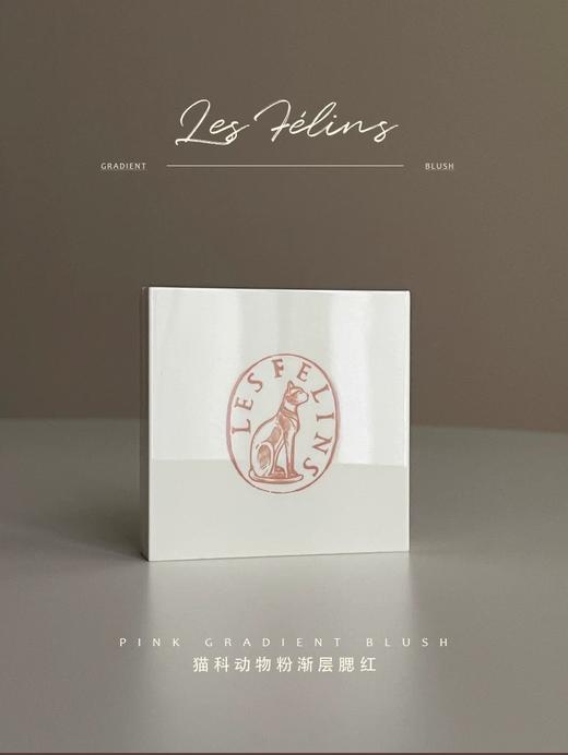 猫科动物粉渐层腮红SH01 乌木玫瑰 商品图3