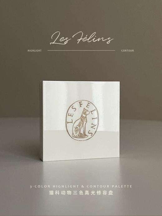 猫科动物三色高光修容盘HC01 乳酪榛子 商品图4