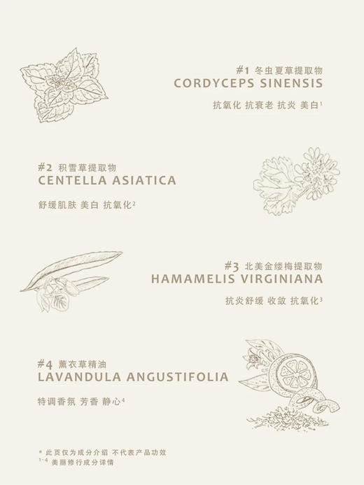 猫科动物遮瑕保湿气垫粉底液CF02 太妃熔岩色12g 商品图5