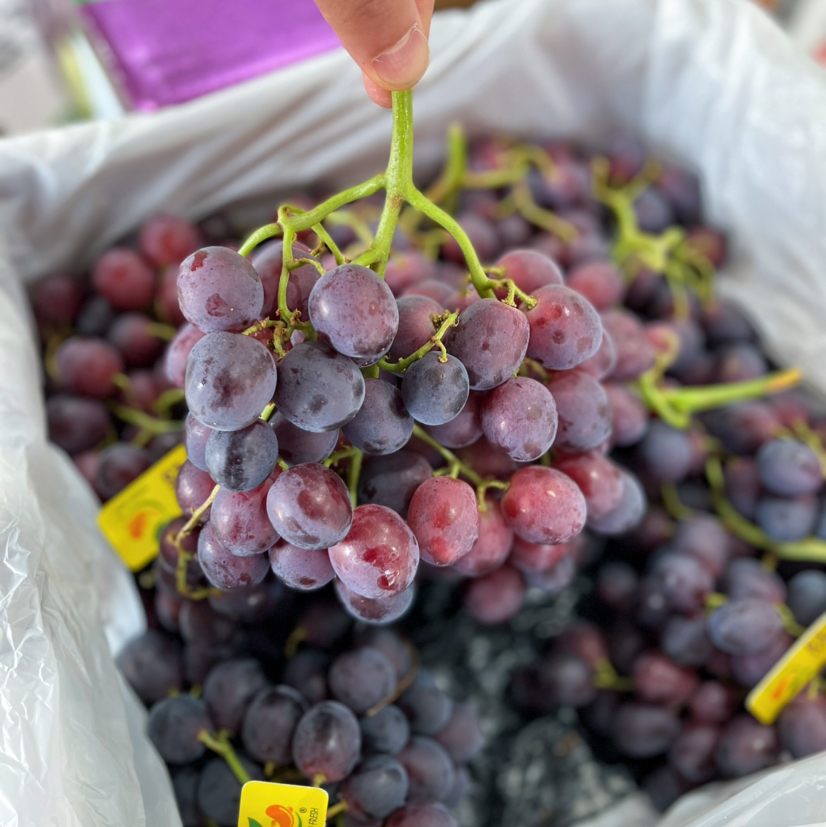 【甜蜜庆典 红提】秘鲁树熟干藤甜蜜庆典，脆甜无籽红提，果粒圆形，入后无涩而且脆甜，因为水分好所以甜而不腻！