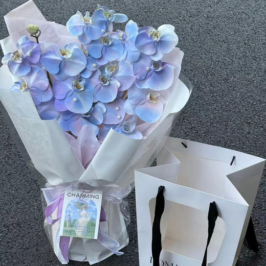 《人鱼漫落》蝴蝶兰人鱼姬花束 商品图0