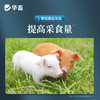 【整吨更优惠】华畜 保育王全价料20kg 提高采食量 预防拉稀腹泻 商品缩略图1