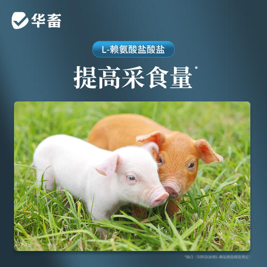 【整吨更优惠】华畜 保育王全价料20kg 提高采食量 预防拉稀腹泻 商品图1