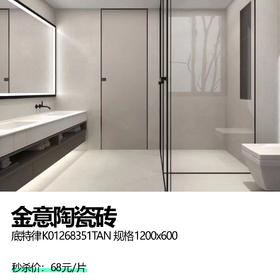 金意陶瓷砖 底特律K01268351TAN 规格1200x600
