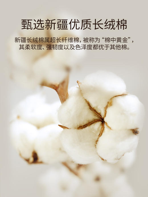 佳丽斯100支长绒棉四件套纯棉全棉床单床笠款轻奢高级感床上用品 商品图3