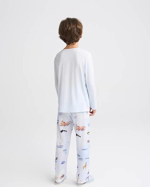 【春上新】8楼爱慕儿童Aimer Kids男孩奶皮动物世界套头长袖睡衣AK241H111，吊牌价329元 商品图3
