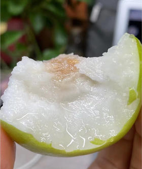 西双版纳蜜罐苹果枣
清甜脆爽汁水多，奶香浓郁…
皮薄核小，可食用率高达80%，
入口还有回香！一果三味，口感真的绝了！
2斤/袋