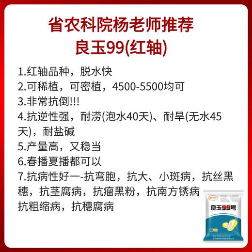 玉米种子良玉99【发货3袋】 商品图1