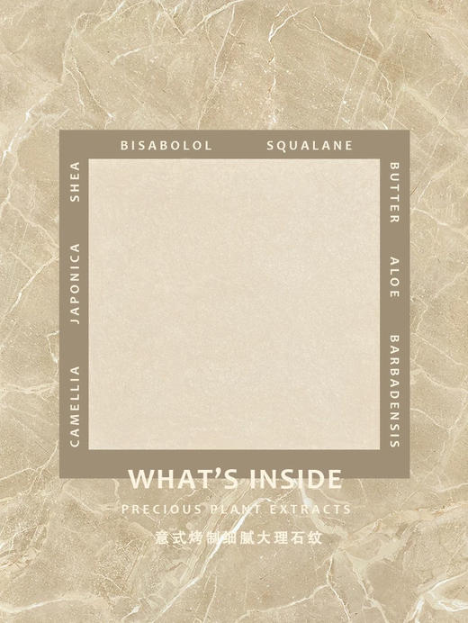 猫科动物虎纹蜜粉饼SP01杏仁烤奶5g 商品图2