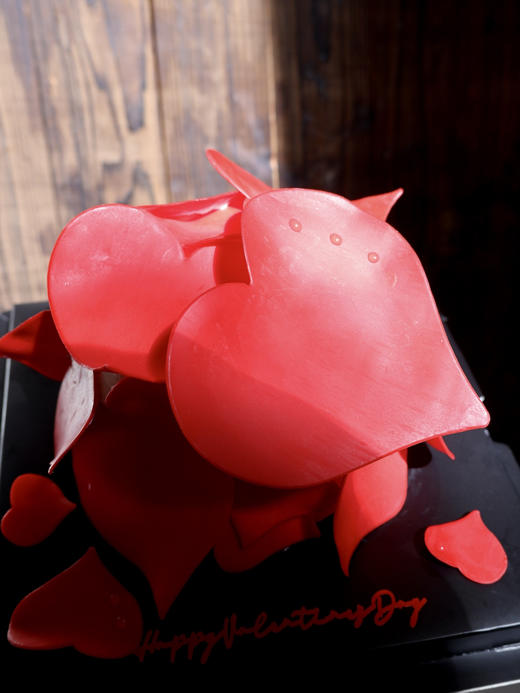 【爱的N语言】爱有N种形态，要看我们如何去表达 商品图2