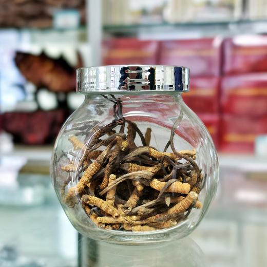 野生冬虫夏草断草（约15g/瓶） 商品图0