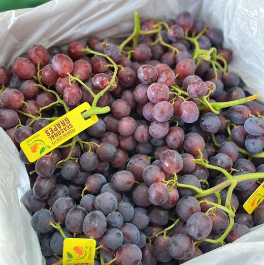 【甜蜜庆典 红提】秘鲁树熟干藤甜蜜庆典，脆甜无籽红提，果粒圆形，入后无涩而且脆甜，因为水分好所以甜而不腻！ 商品图1