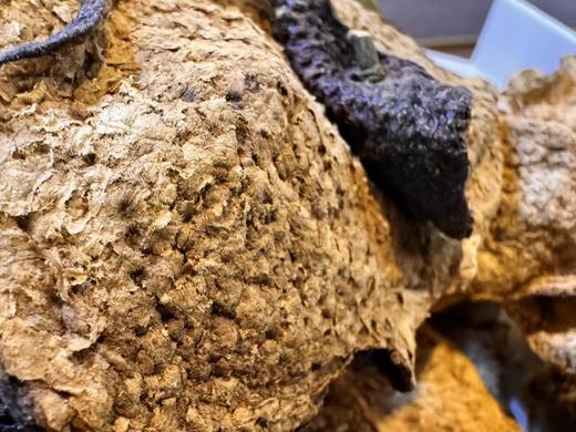 2004年  药食同源 新会陈皮  2004天马 250克起 商品图4