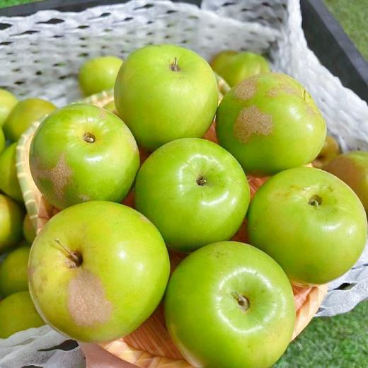 【云南雀斑苹果枣】树上熟酥脆化渣、香甜多汁、肉质细腻，专业设备分选测糖，可食率90%以上，甜度18+，补水解腻 商品图1