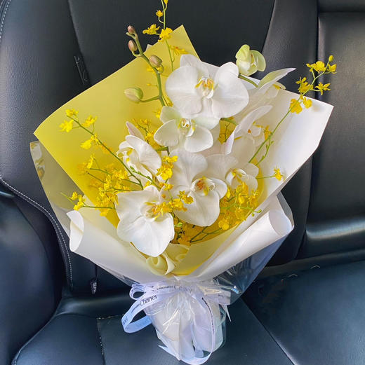 《开在春天的花》蝴蝶兰跳舞兰花束 商品图0