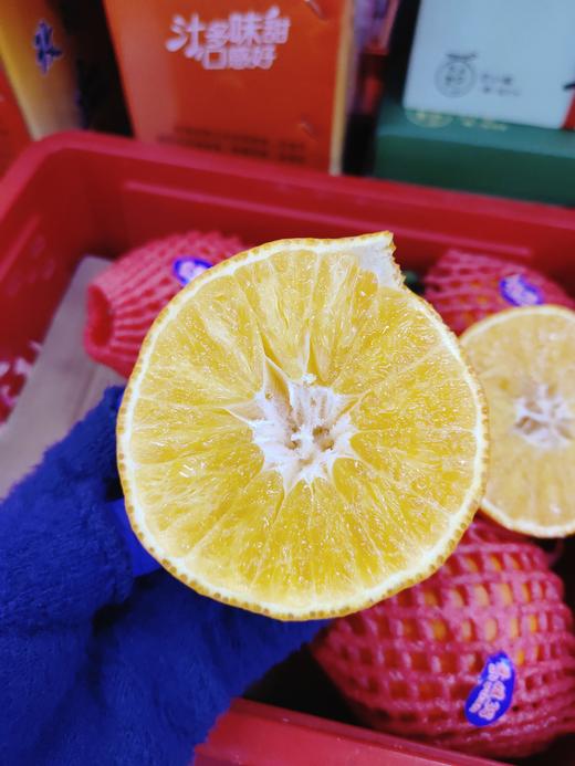 房五爱媛果冻橙一箱 商品图4