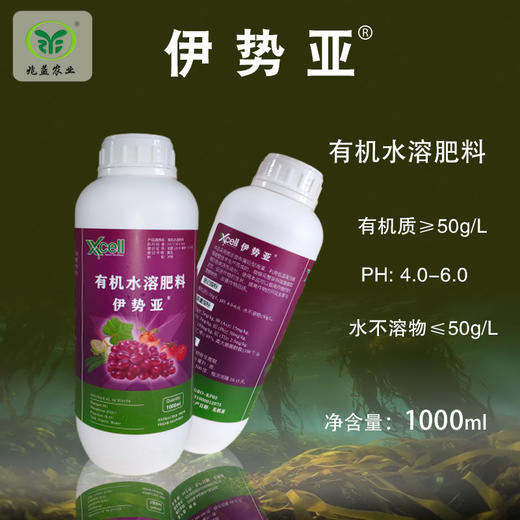 南非凯普 伊势亚 海藻原液有机水溶肥料 商品图0