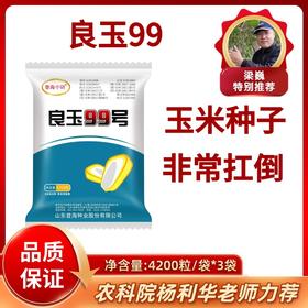 玉米种子良玉99【发货3袋】