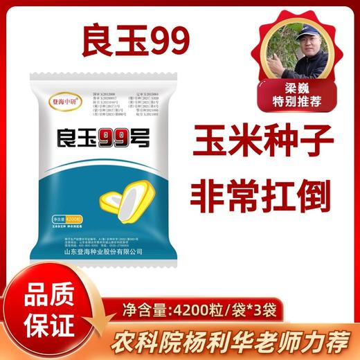玉米种子良玉99【发货3袋】 商品图0