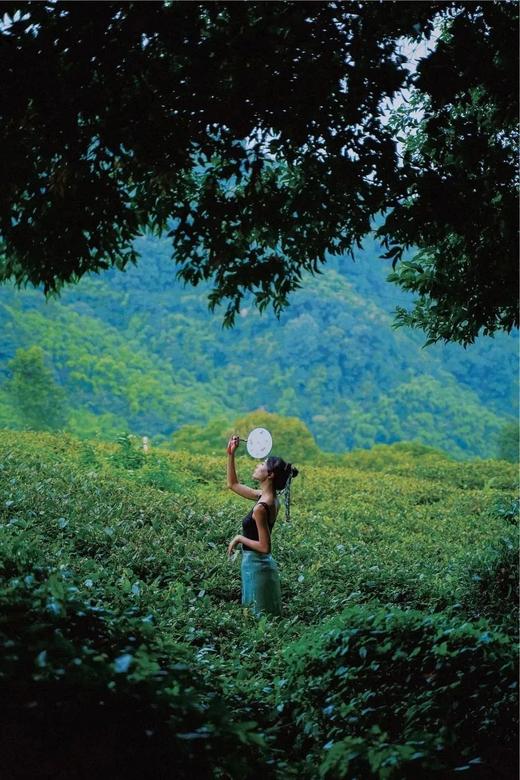 邛崃民宿好评天花板🎐【邛崃竹上花楸民宿】周末不加价
🍃竹海相拥，茶香四溢，度假好去处！ 商品图13