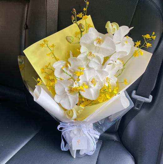 《开在春天的花》蝴蝶兰跳舞兰花束 商品图1