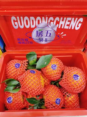 房五爱媛果冻橙一箱
