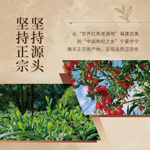 正山堂 | 枸杞红茶·馥·宁夏枸杞叶养生茶 高香茶叶 50g 商品图1