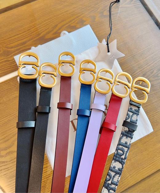 D家热门腰带集合 商品图6