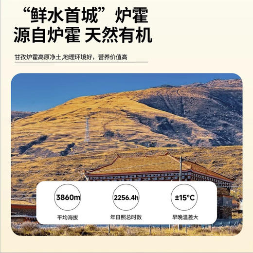 有机沙棘原浆 30ml/10袋/箱 商品图3