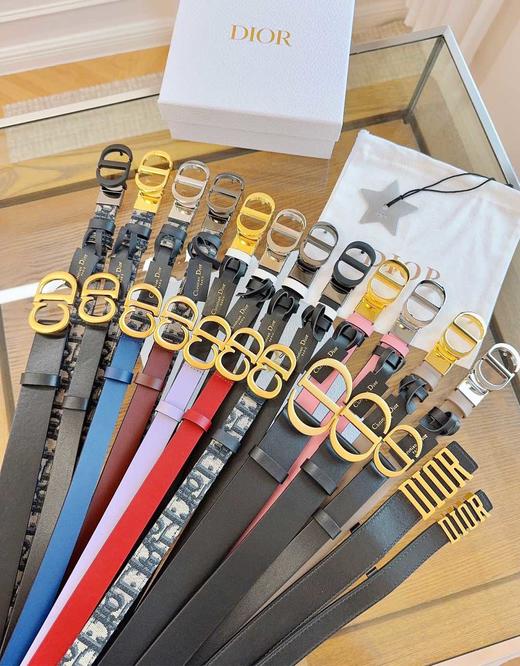 D家热门腰带集合 商品图0