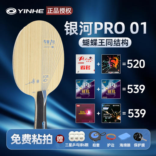 【送精英定制三星球】YINHE银河pro01专业一号王博御制底板外置ALC芳碳乒乓球拍底板 商品图0