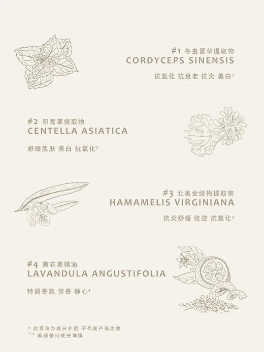 猫科动物酥云流雾散粉LP01芝白香草10g 蜜粉定妆粉 商品图4