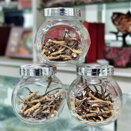 野生冬虫夏草断草（约15g/瓶） 商品图3