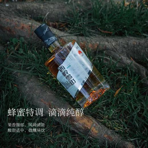 大邑特产望青来西岭雪山青梅酒【银山】500ml/瓶 10度 商品图3