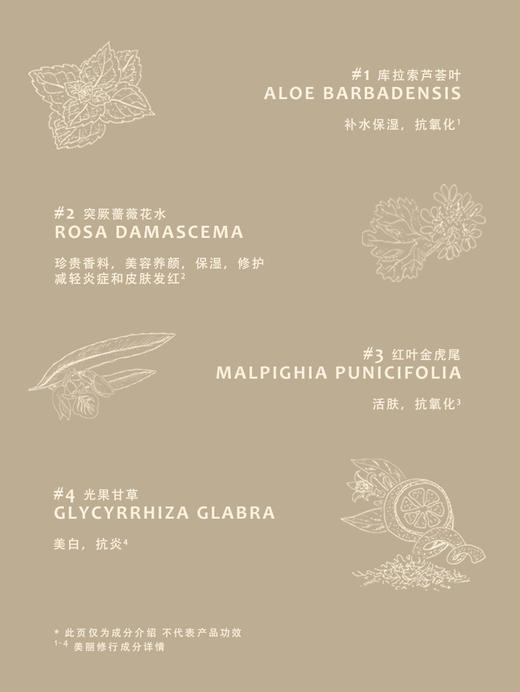 猫科动物填平毛孔控油妆前乳霜PM01白兰地杏15ml 商品图3