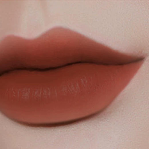 猫科动物哑光细管奶酪条唇膏LM1980 深焙曲奇3g 商品图0